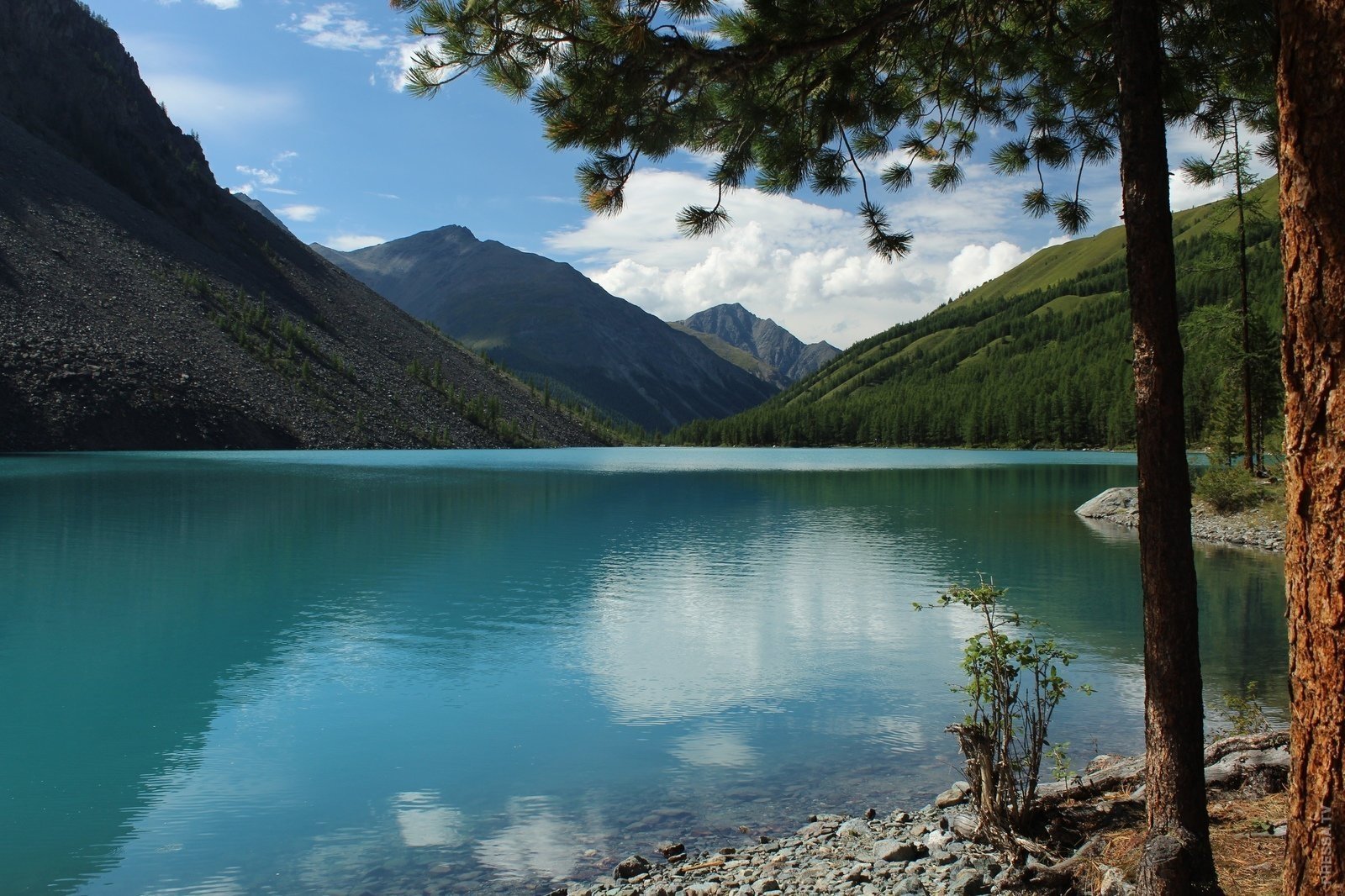 Озера южного алтая. Горный Алтай Шавлинские озера. Озеро бирюзовая Катунь горный Алтай. Верхнее Шавлинское озеро Алтай.