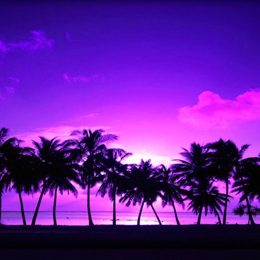 Пальмы фиолетовый закат