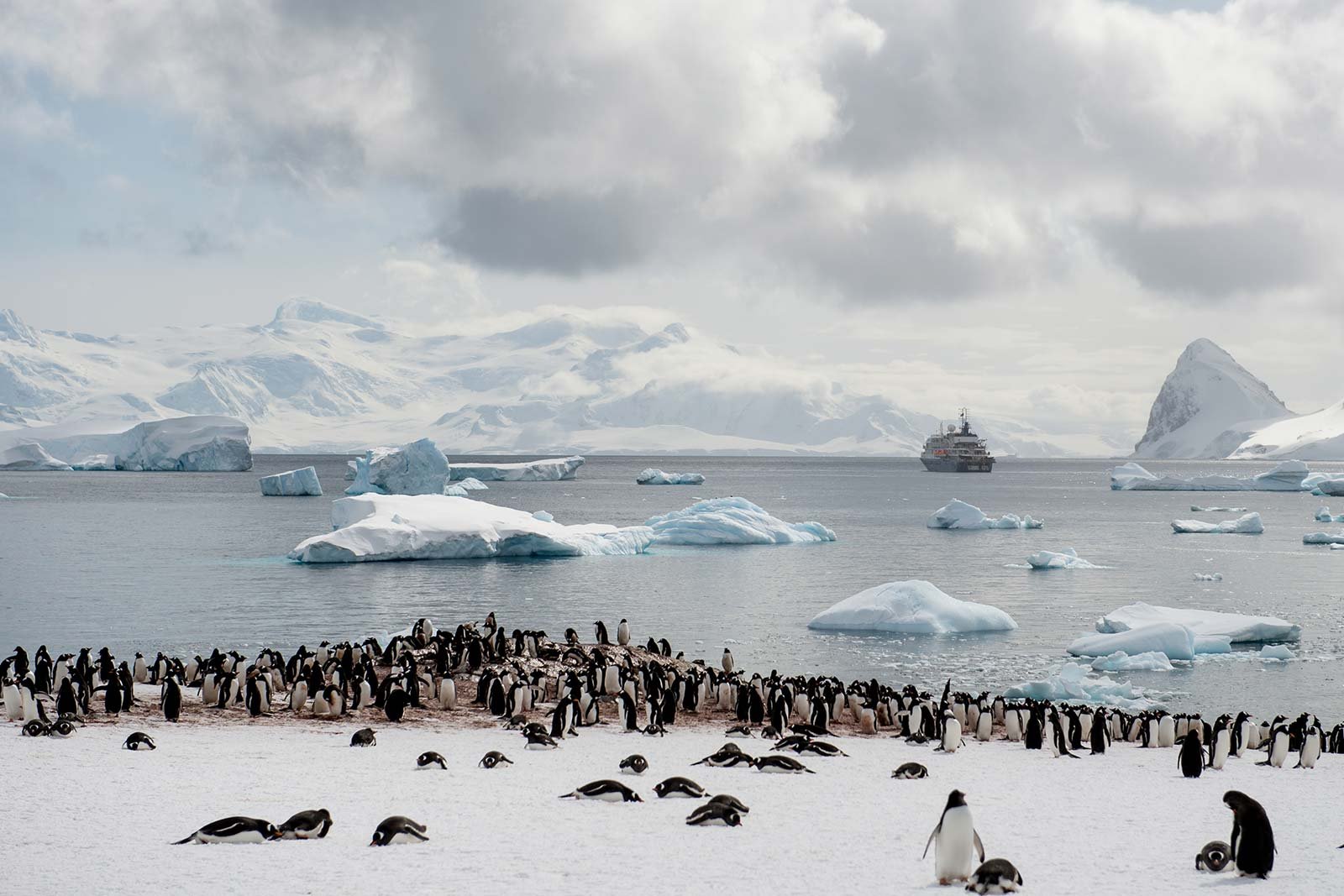 Антарктические полюса