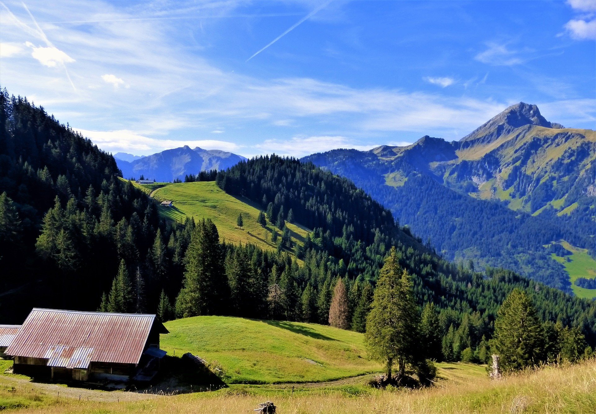 Alpin Mont Blanc