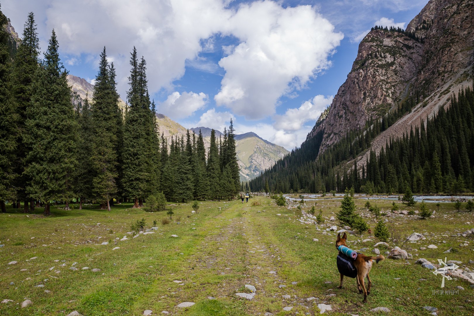 С дроном природа Kyrgyzstan Алтын Арашан