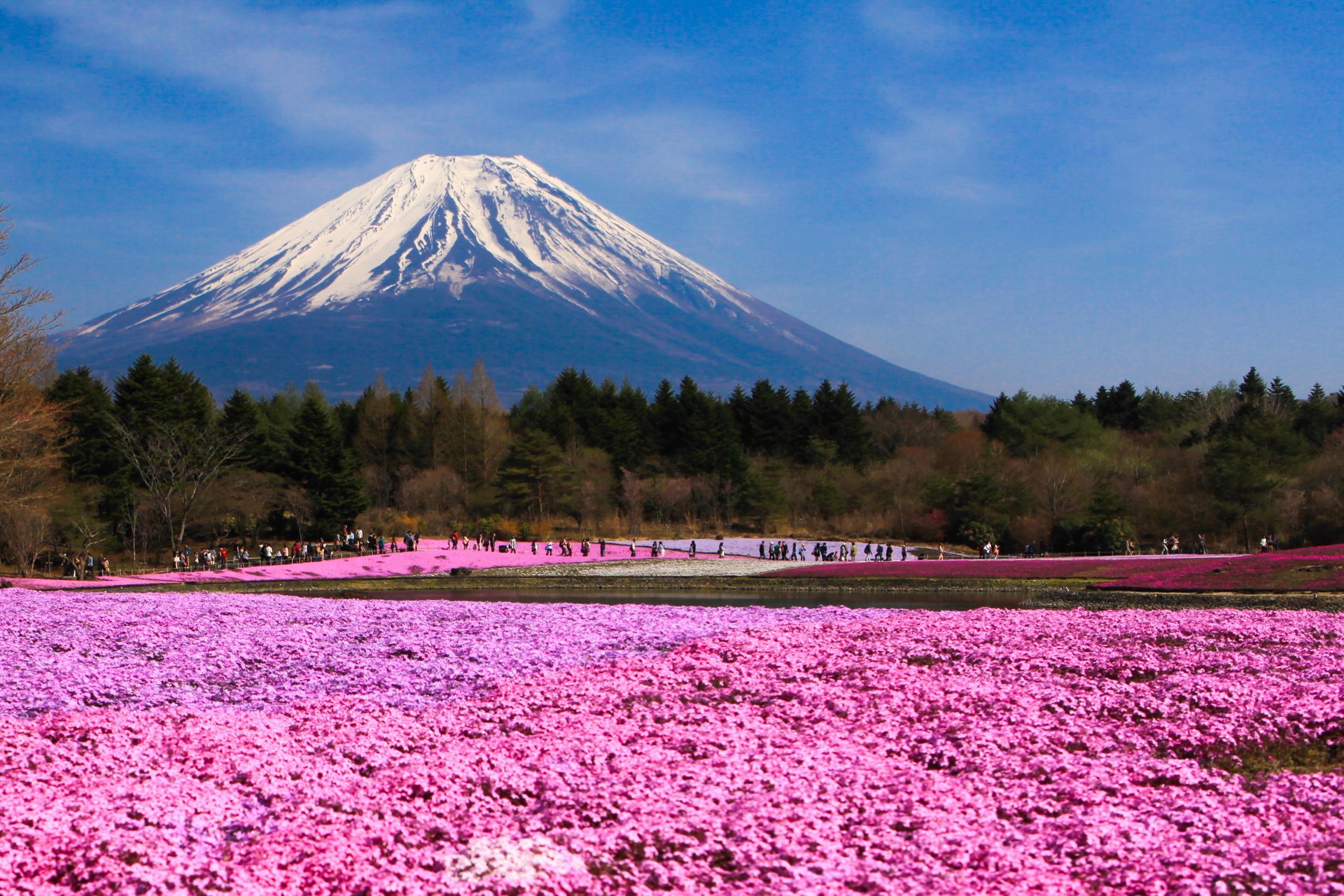 Фудзи это. Гора Фудзияма в Японии. Гора Фудзияма в Японии фото. Киото Фудзияма. Гора Фудзи в Японии.