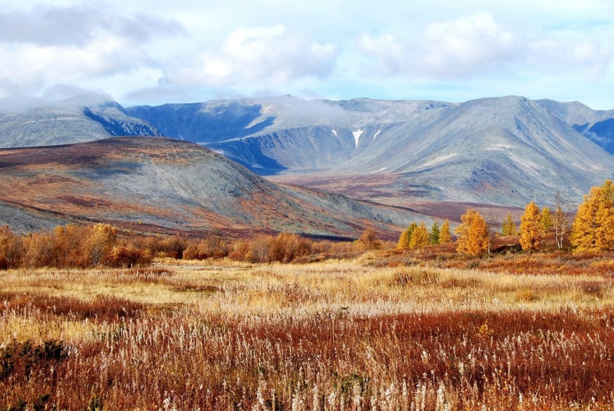 Воркута тундра Уральские горы фото