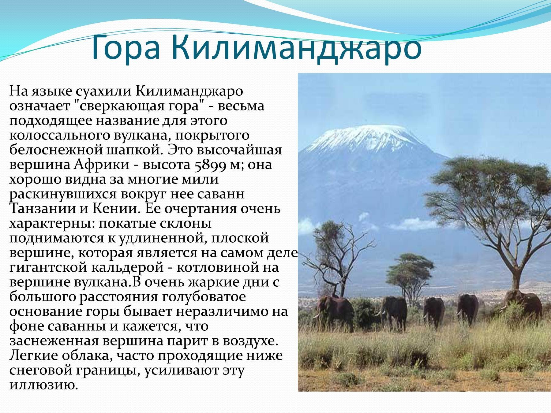 Самые высокие африки. Высочайшая вершина Африки Килиманджаро. Гора Килиманджаро интересные факты. Гора Килиманджаро описание. Африка вулкан Килиманджаро.