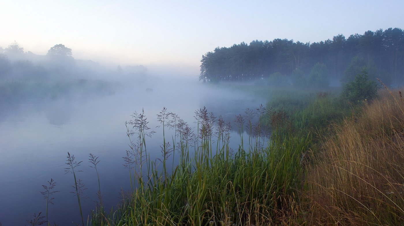 Туман стелется над полями и над синей. Сатыгинский туман озеро ХМАО. Озеро туманное Хакасия. Озеро Рахмановская Старица туман. Черноголовка туман.