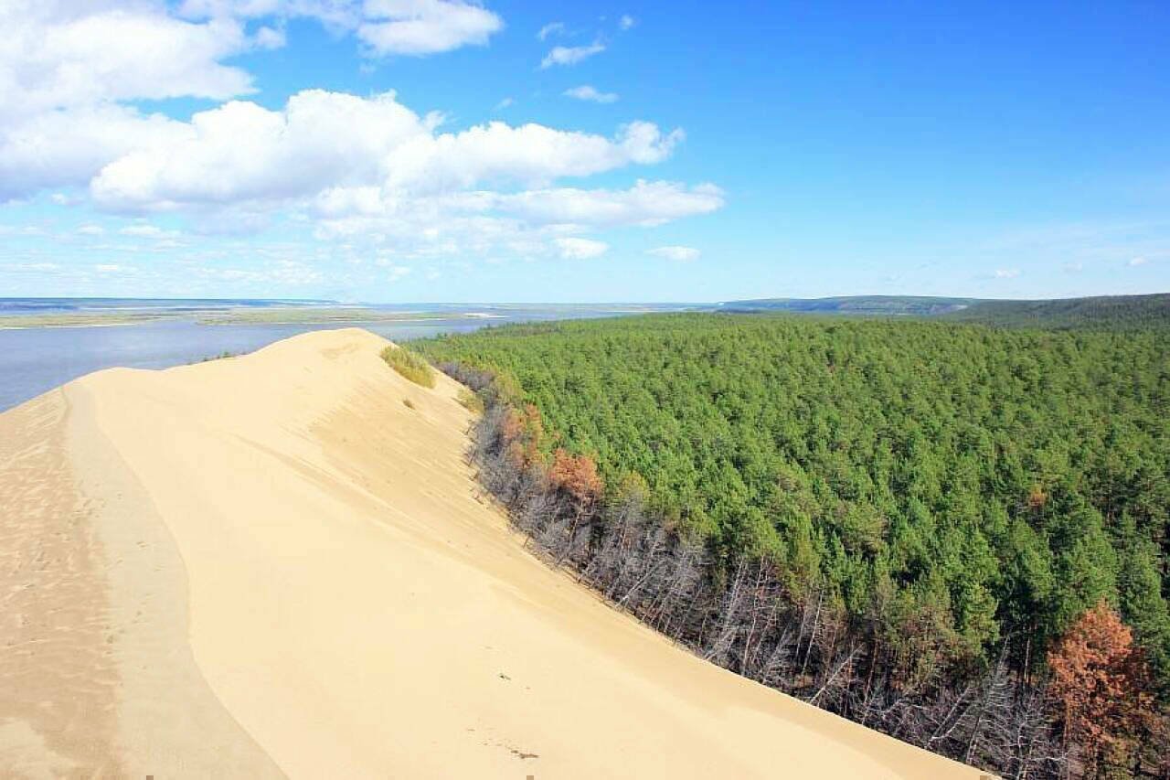 Дюна в росси. Якутия пустыня тукуланы. Дюны тукуланы Якутия. Якутия Пески тукуланы. Песчаные дюны тукуланы Якутия.