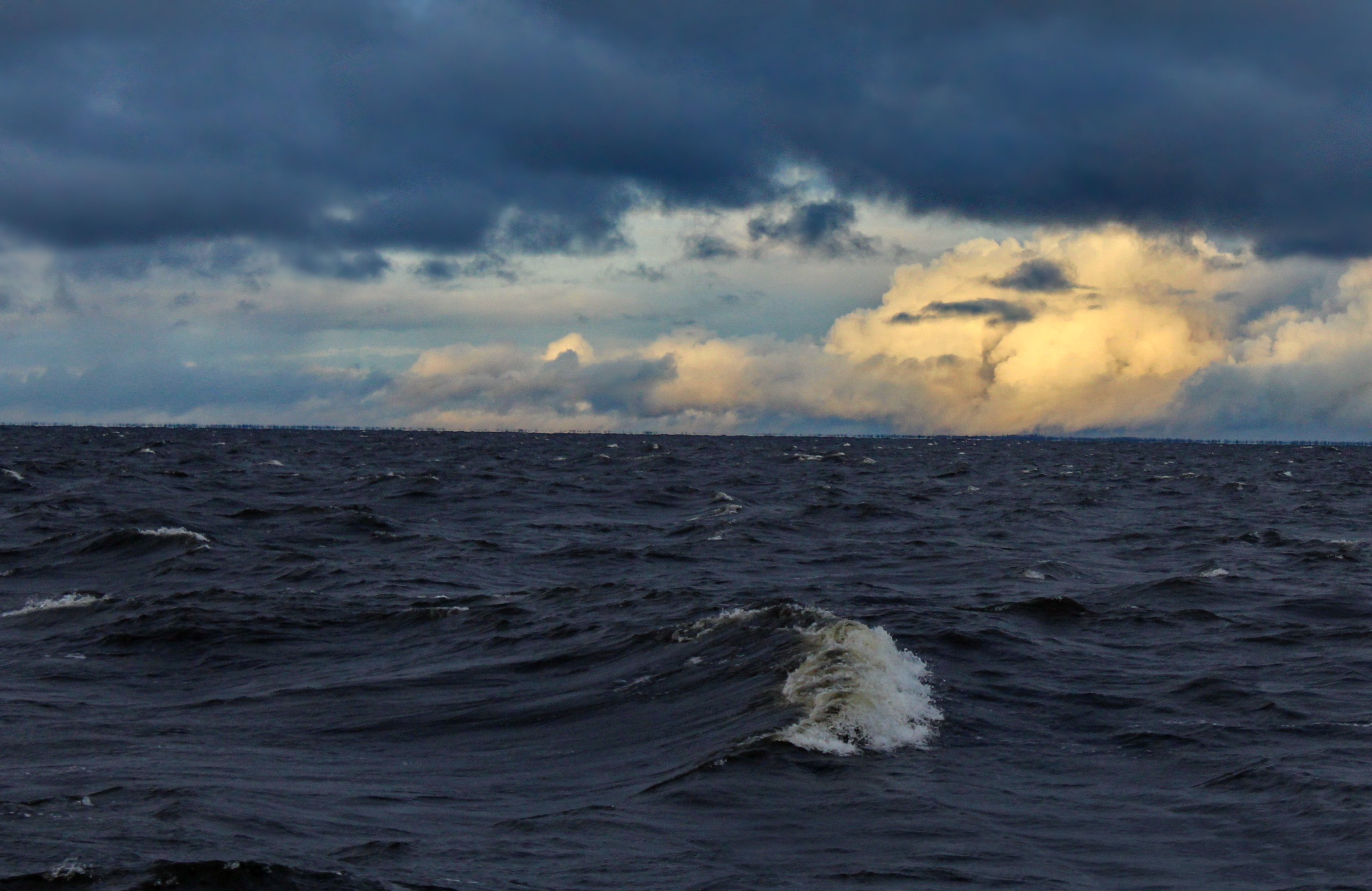 Шторм на Ладожском озере. Ладожское озеро штормит. Ладога озеро шторм. Шторм на Онежском озере. Шторма на озерах