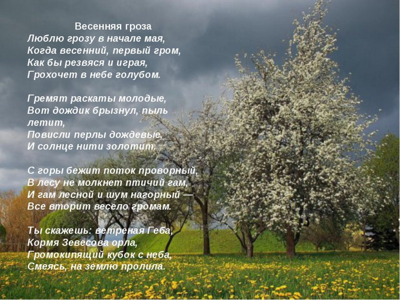 Весенний дождь брюсов. Весенняя гроза стих. Люблю грозу в начале мая. Весенние стихи. Стихи про май короткие.