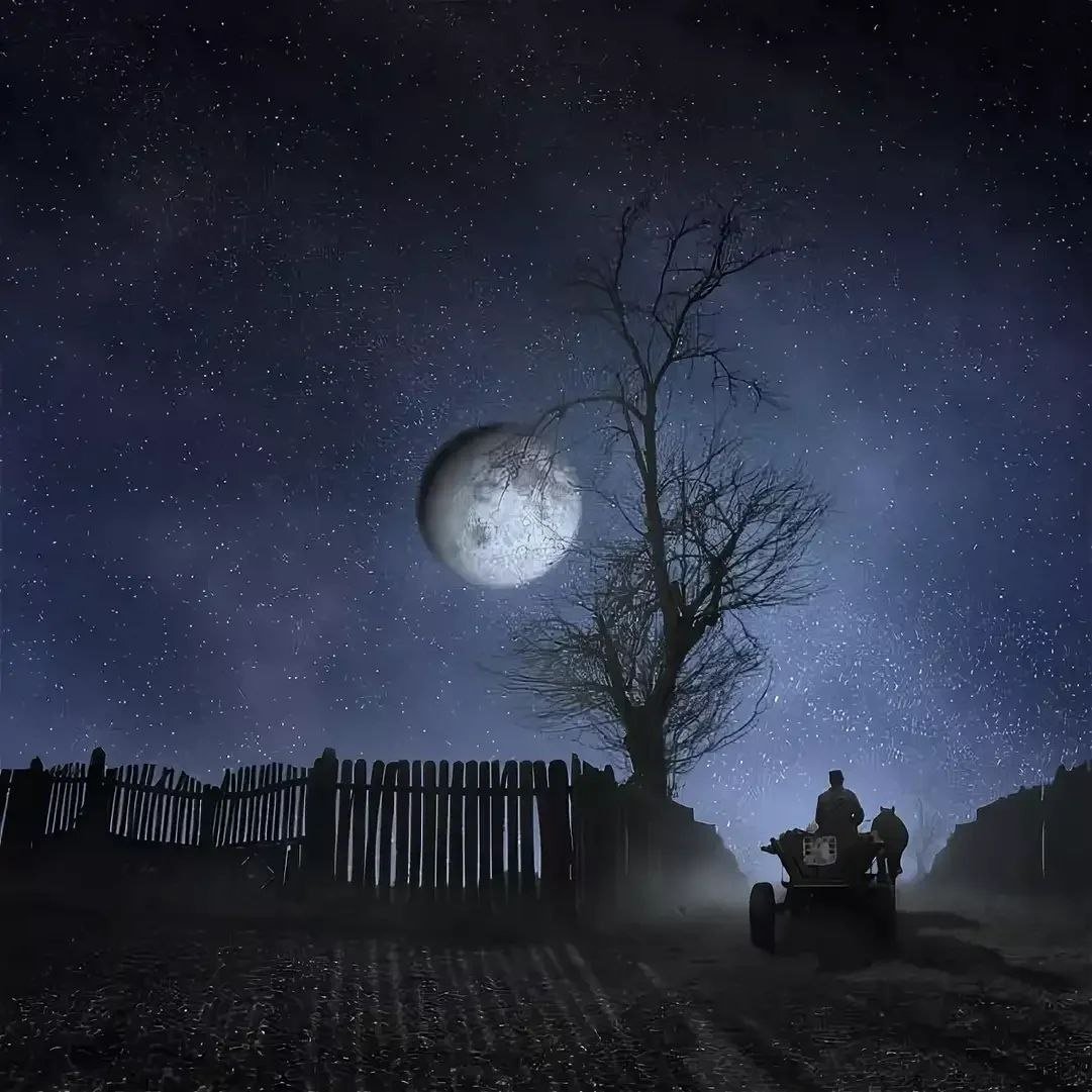 Какая завтра ночь. Лунная ночь. Ночное поле с луной. Ночное небо с луной страшное. Луна над полем.