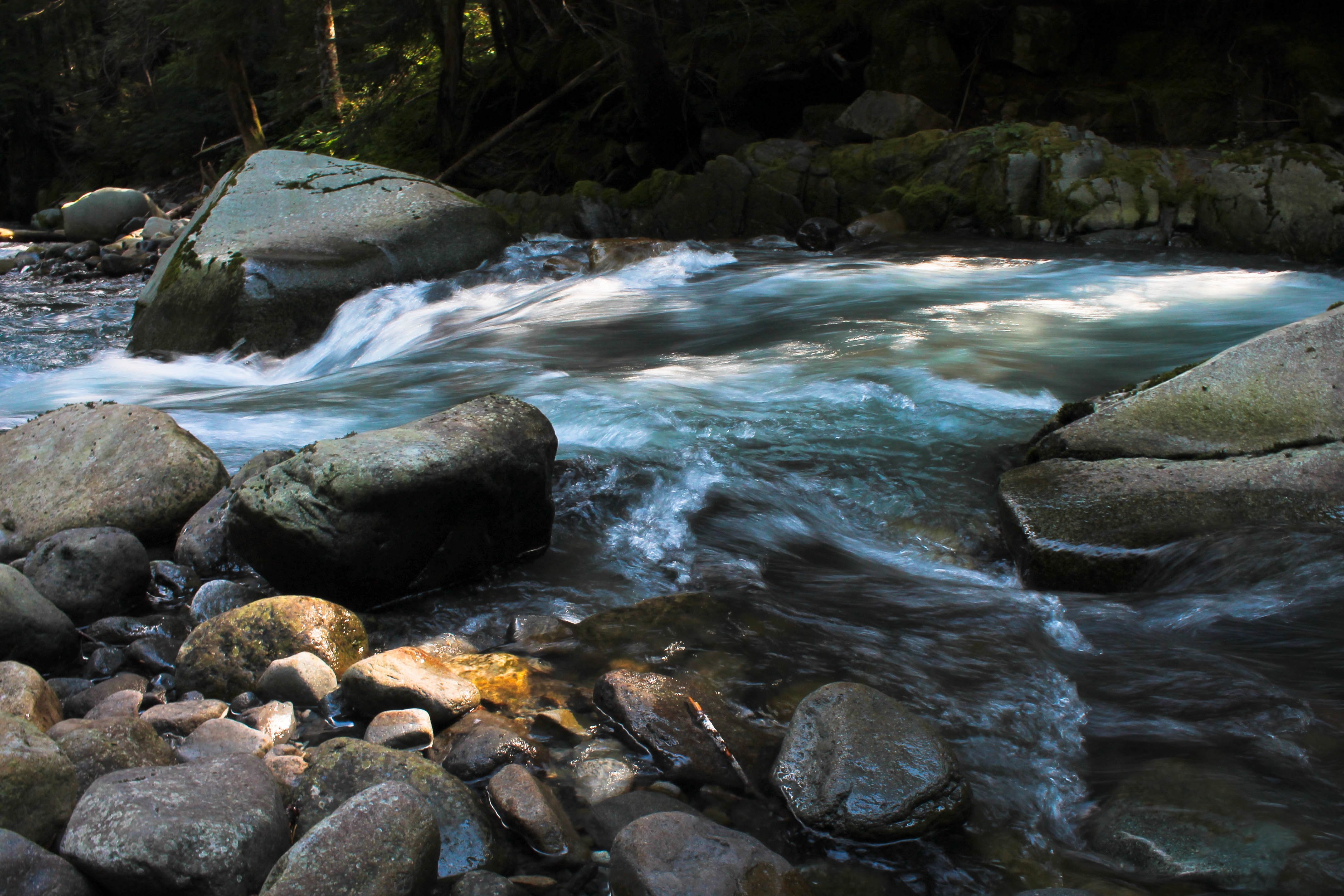 Source of the river