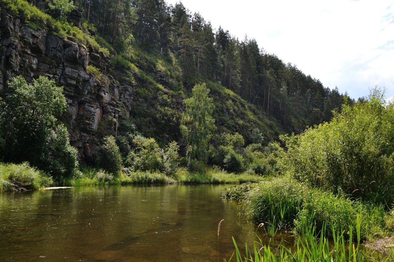 Р сакмара. Река Сакмара Башкирия. Река Сакмара Кувандык. Река Сакмара Оренбургская. Река Сакмара в Башкортостане.