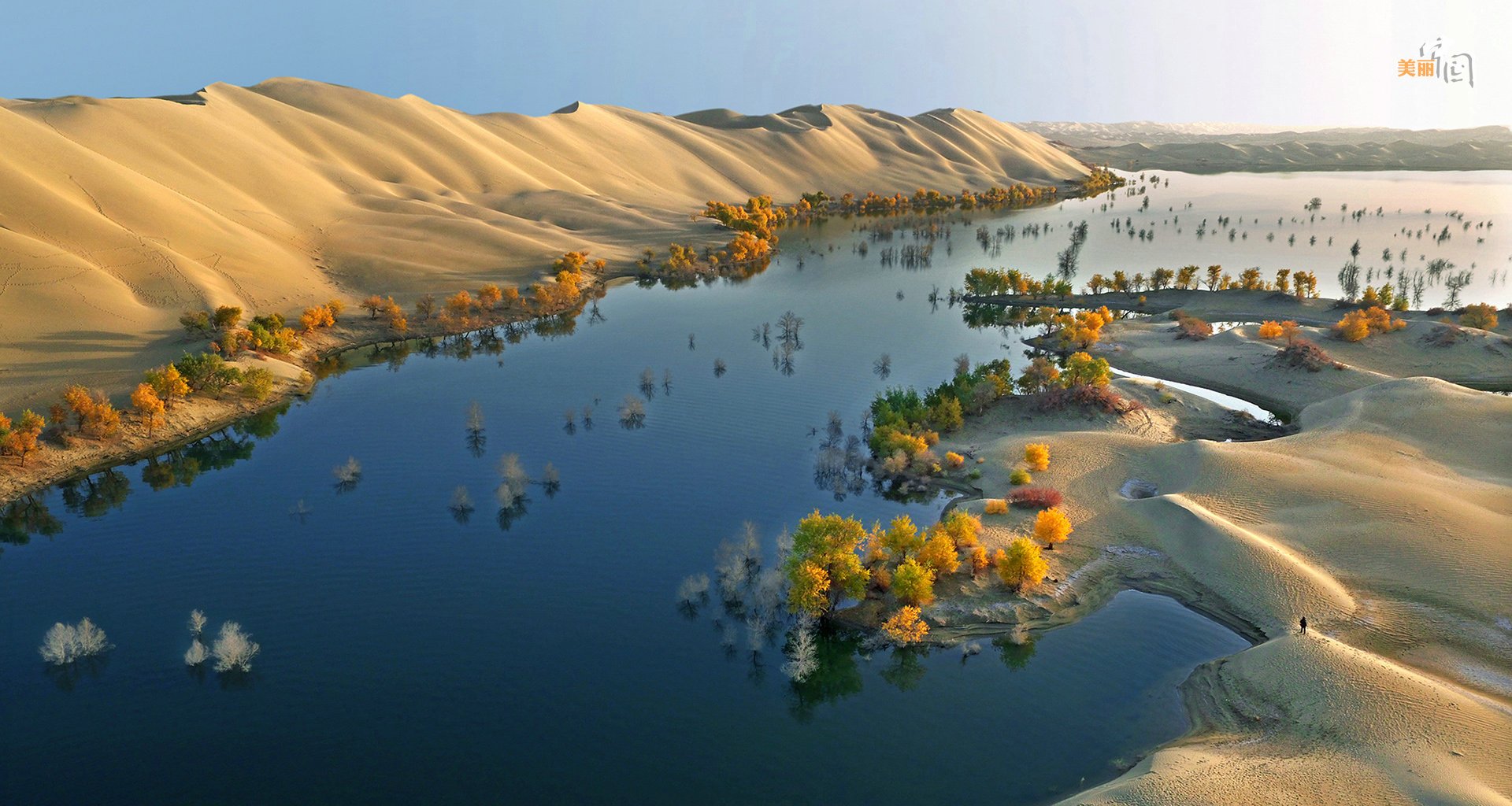 Река оазис. Река Тарим в Китае. Оазис реки Тарим. Озеро Лобнор Тарим. Устье реки Тарим.