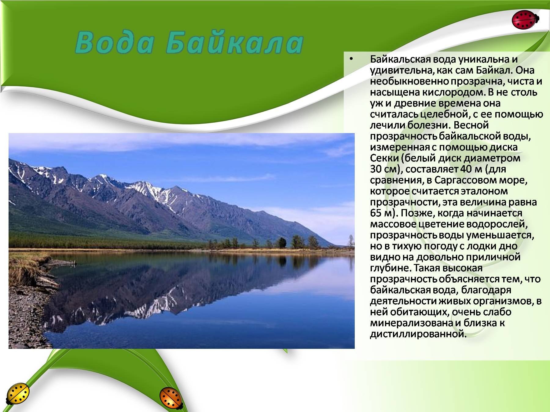 Расскажите почему байкал считается уникальным явлением природы. Байкал презентация. Озеро Байкал презентация. Сочинение про Байкал. Сочинение на тему озеро Байкал.
