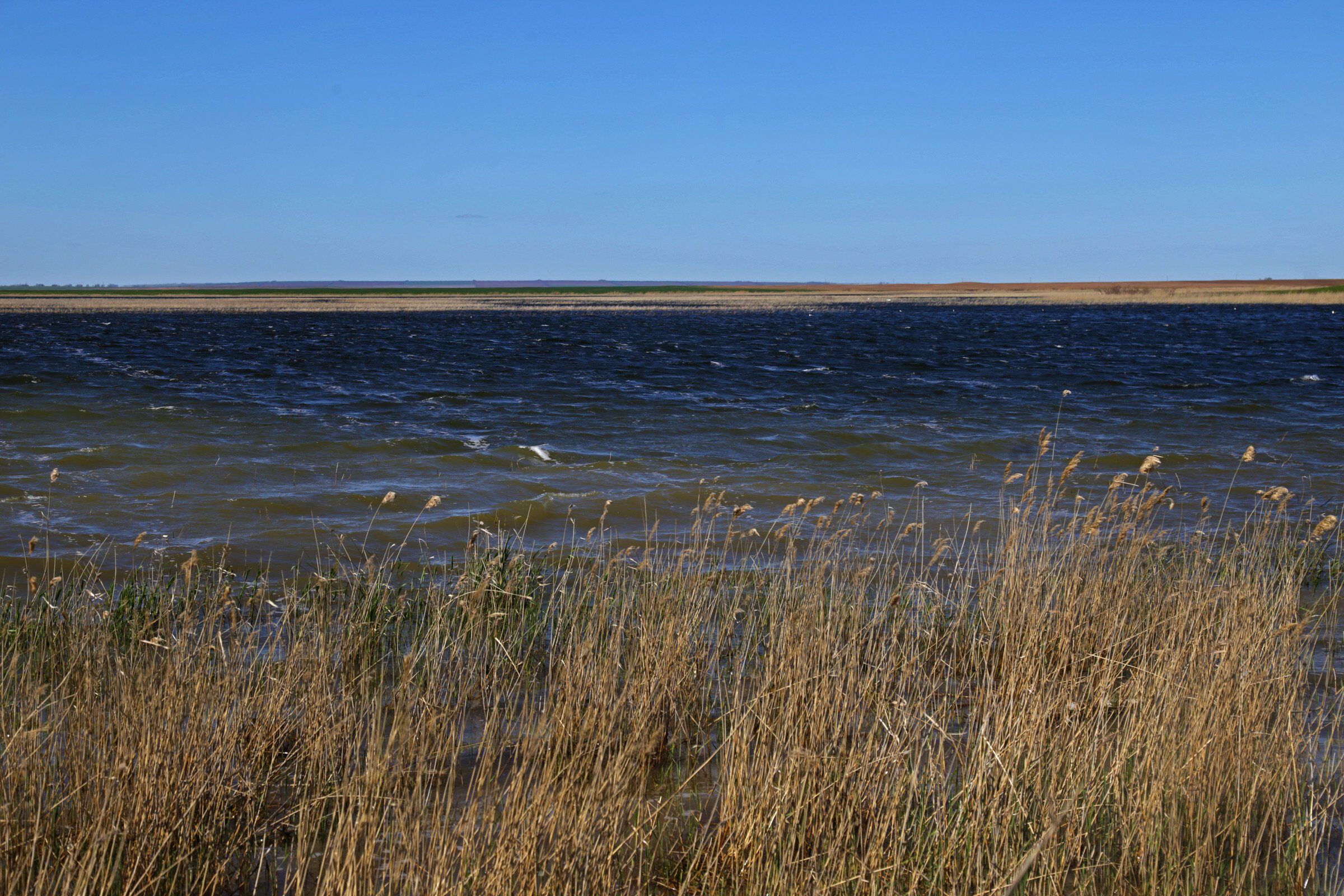 Река маныч ростовская. Канурка озеро Калмыкия. Маныч-Гудило Калмыкия. Озеро Маныч Калмыкия. Озеро Маныч-Гудило.