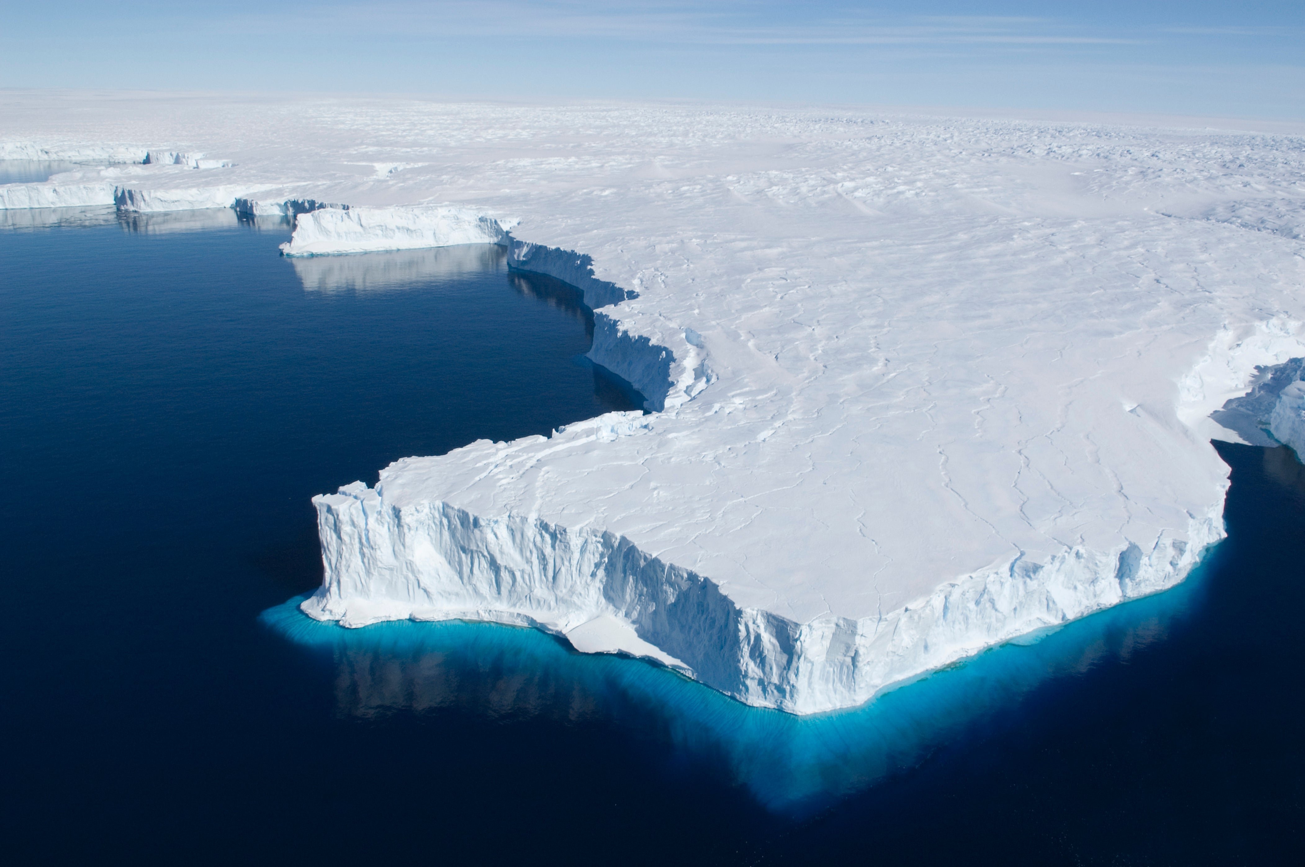Антарктический ледниковый щит. Шельфовые ледники Антарктиды. Шельфовый ледник Беллинсгаузена. Антарктида ледник Беллинсгаузена. Ледник Пайн Айленд Антарктида.