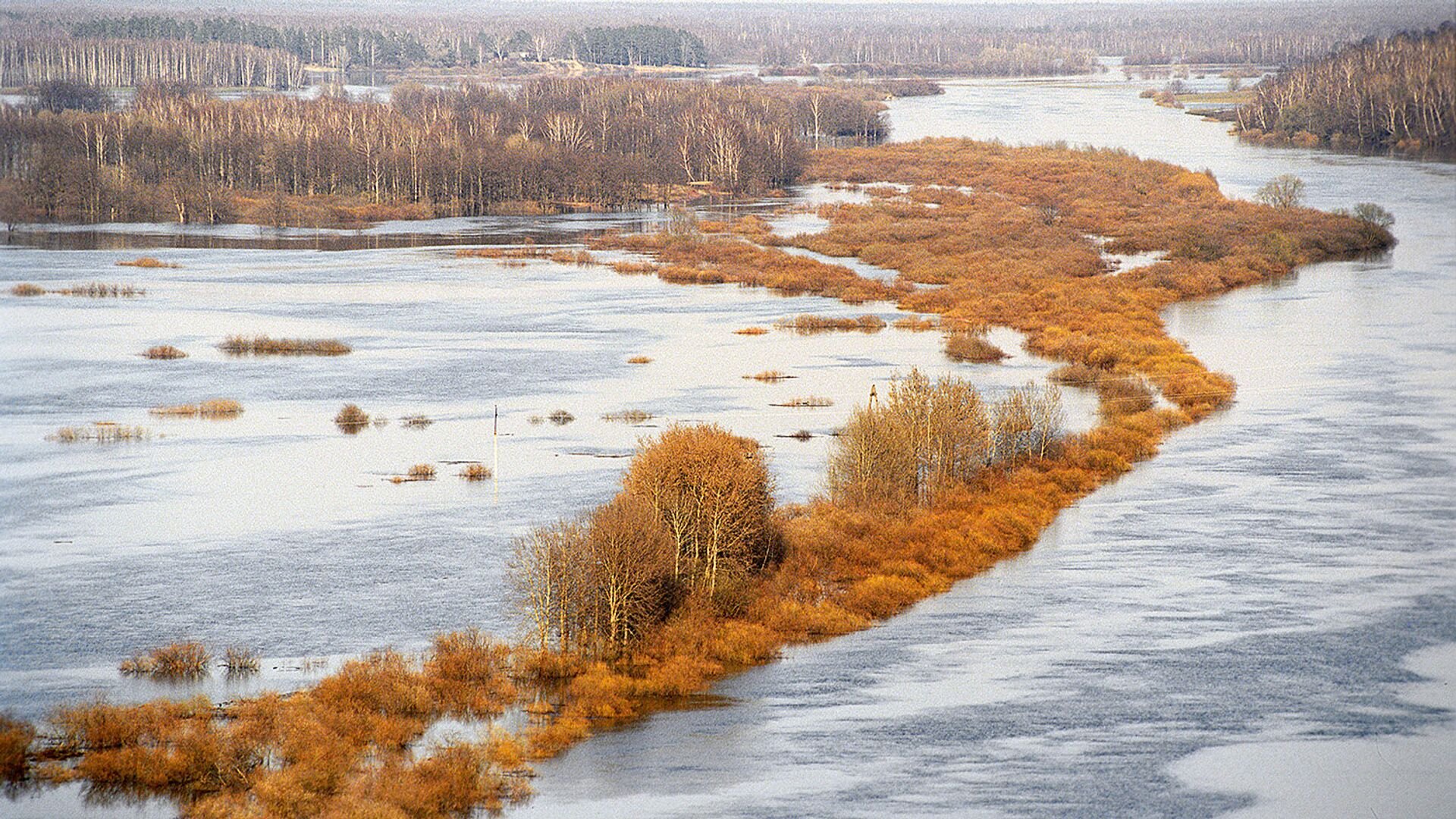 После разлива реки на лугу осталась большая. Река Клязьма. Разлив Клязьмы. Реки Подмосковья. Май река.