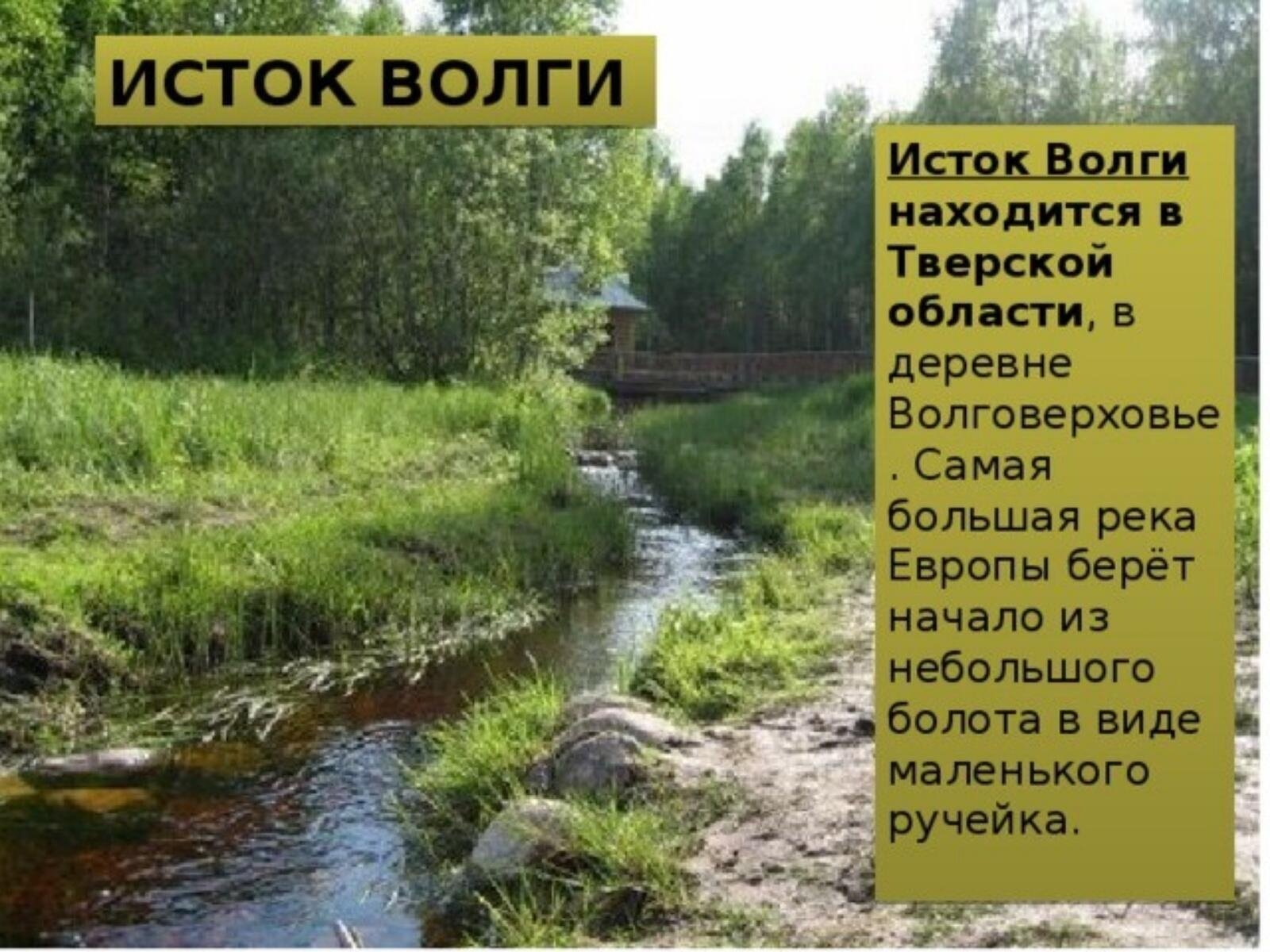Откуда начало реки волги. Откуда начинается река Волга Исток. Откуда берет начало река Волга Исток реки Волги. Где находится Исток реки Волга. Начало реки Волги Исток.