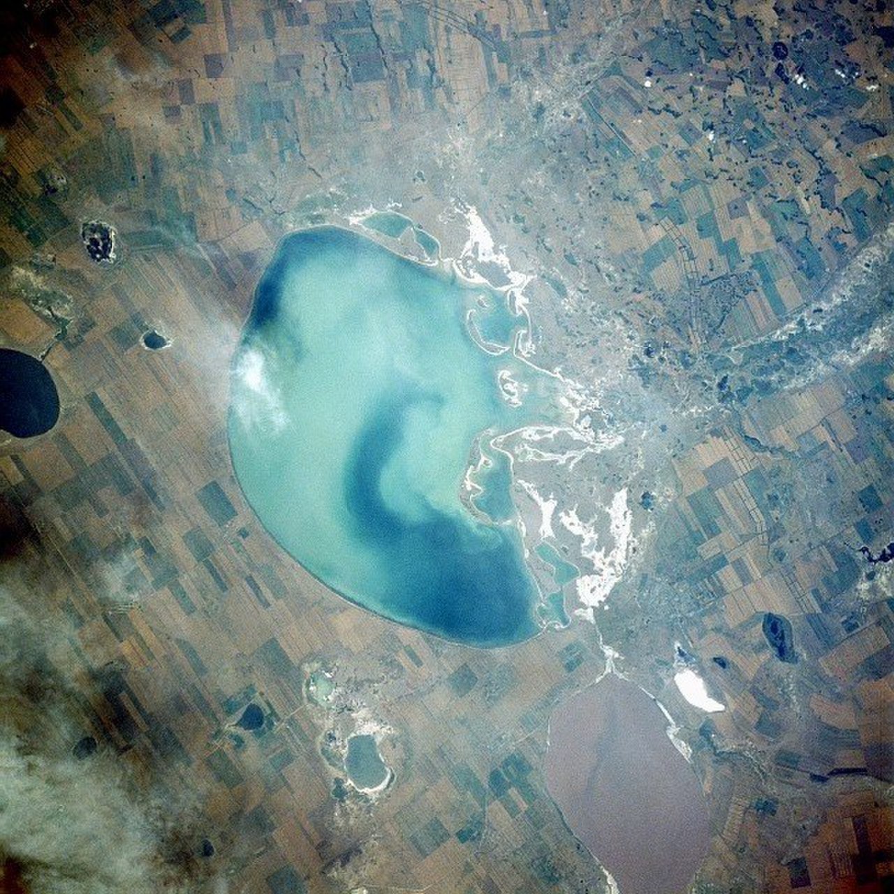 Кулундинское озеро алтайский. Кулундинское озеро. Озеро Кулундинское Алтайский. Кулундинское озеро на Алтае. Озеро большое Кулундинское Алтайский край.