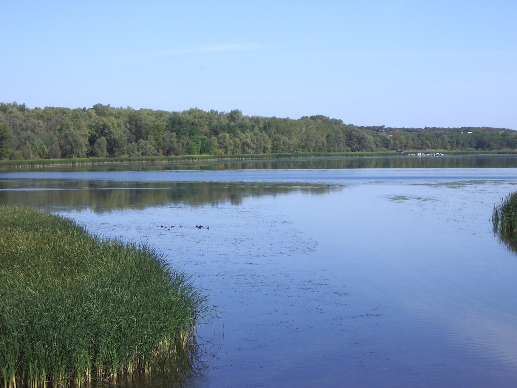 Море волги 4 село чардым фото