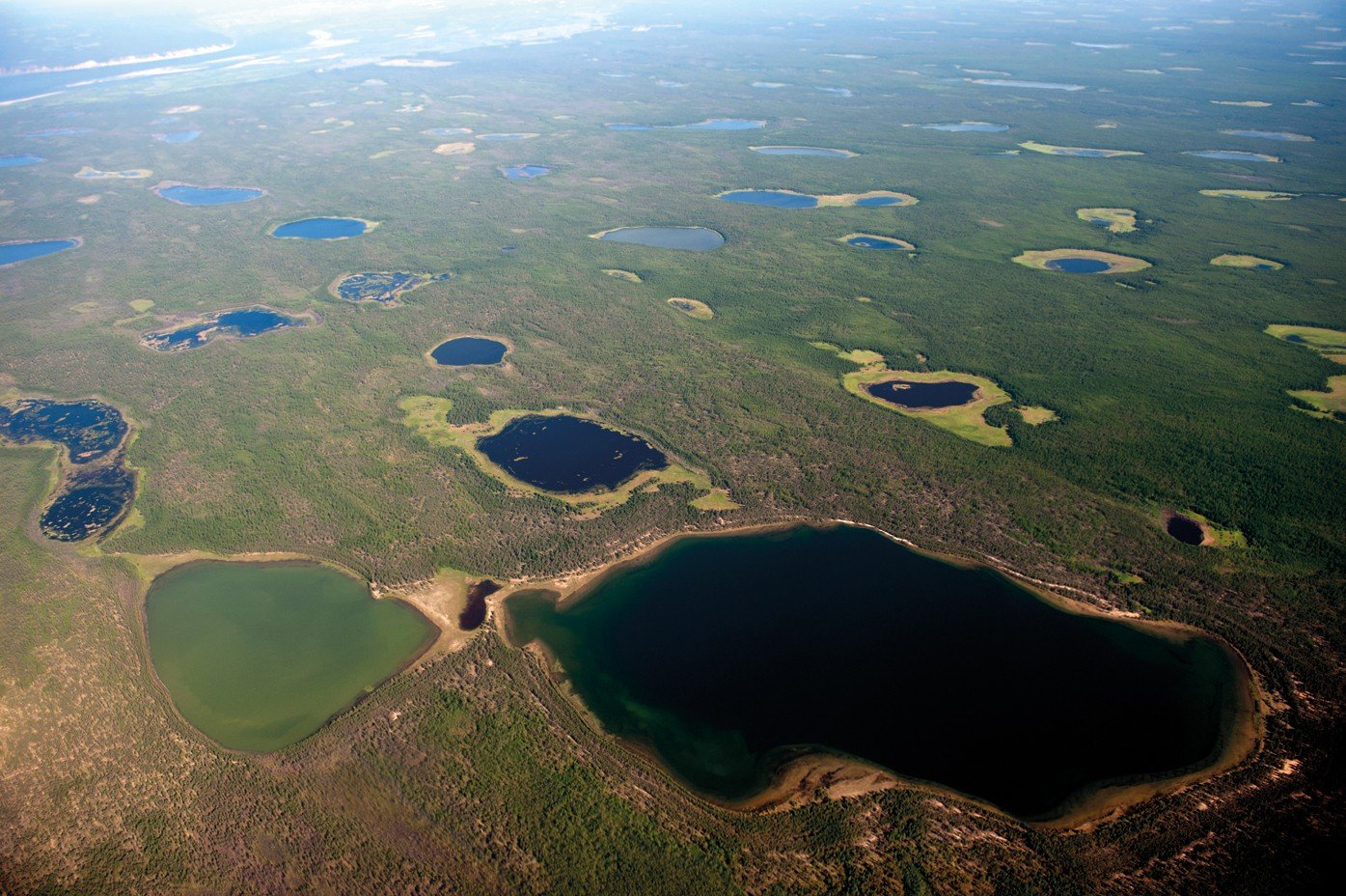 5 озер сибирь. Васюганское болото. Васюганское озеро. Озеро Васюганские болота. Васюганские болота торфяники.