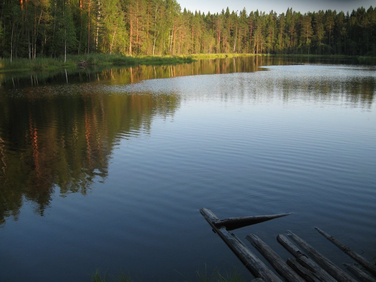 Черное ленинградская область. Черные озера Комарово. Озеро чёрное Ленинградская область. Озеро далекое Карельский перешеек. Озеро черное Карелия.