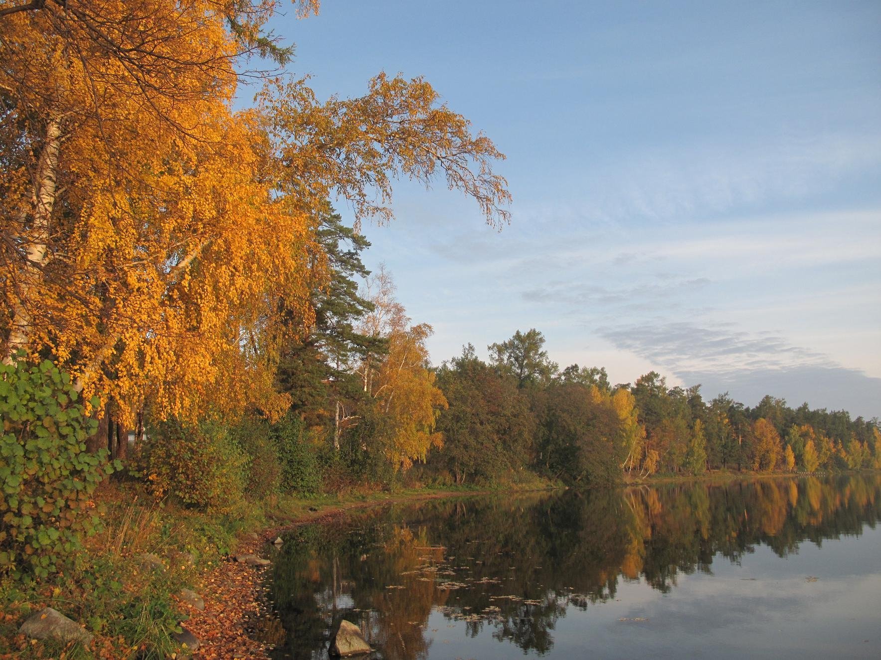 Балтым лесная. Озеро Балтым верхняя Пышма. Озеро Балтым ЕКБ. Балтым озеро озёра Свердловской. Балтым (озеро) озёра Свердловской области.