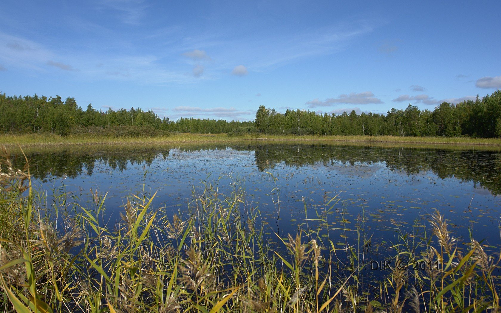 Фхсо исток. Исток реки Кудьма Нижегородская область. Река Кудьма Нижегородская. Исток реки Кудьма. Кудьма (приток Волги).