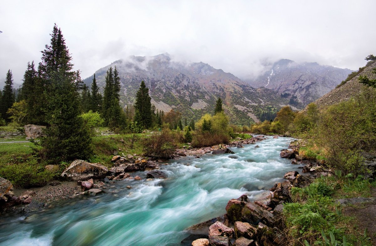 Ала Арча логотип