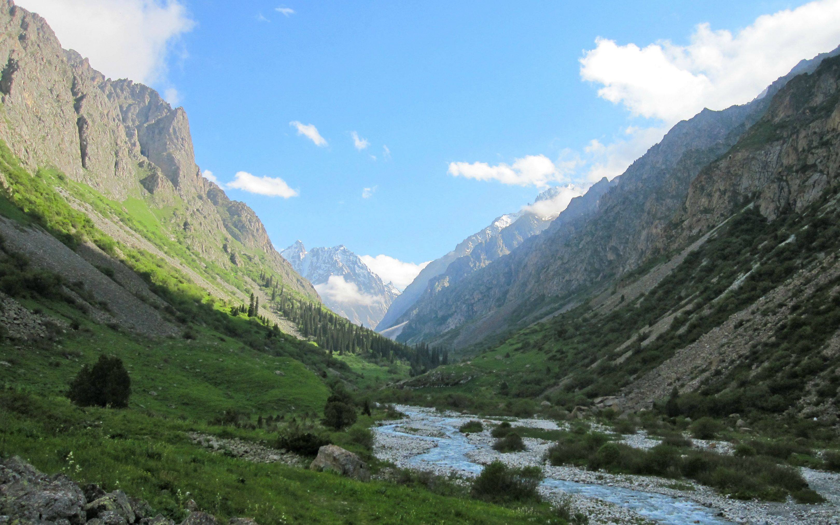 Ала вью. Ала-Арча (река). Река ала Арча в Бишкеке. Ущелье ала-Арча Киргизия. Горы ала Арча река.