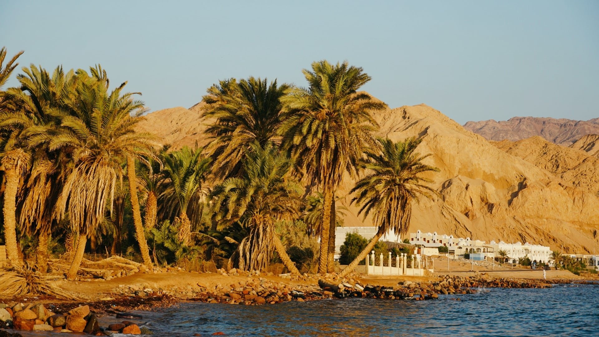 дахаб египет фото города