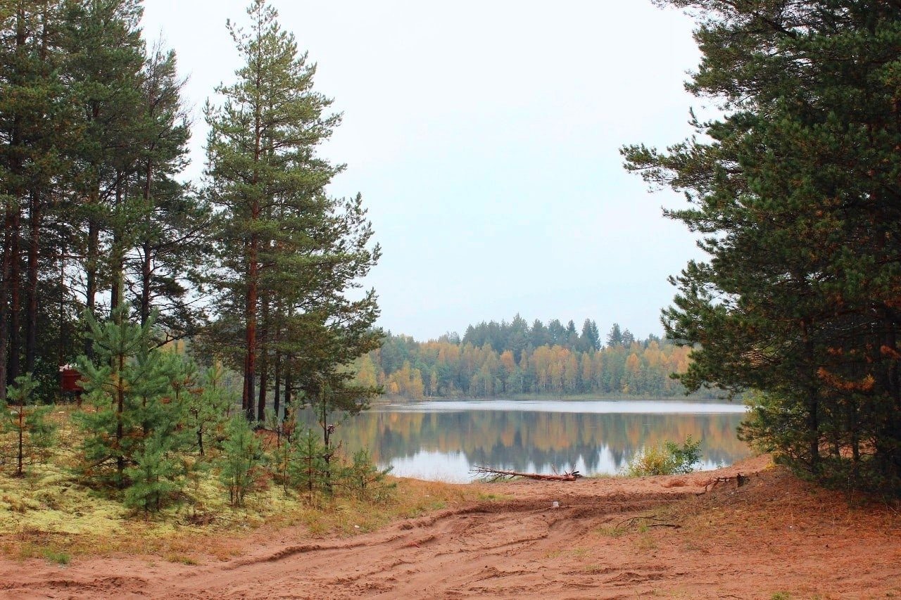 Гаврино озеро. Форест поинт. Новое Гаврино.