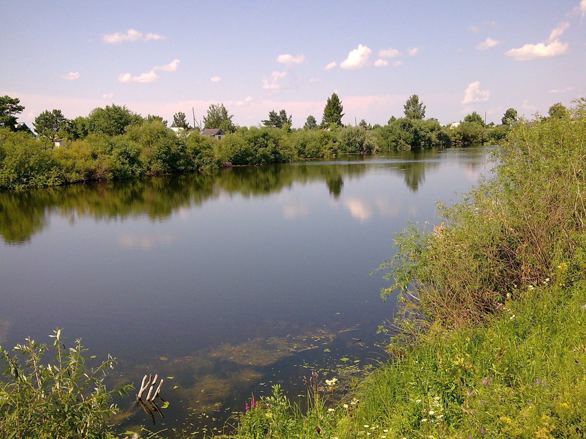 Водоемы новосибирска. Баган Новосибирск река. Карасук (река) реки Новосибирской области. Озеро Барабинская лесостепь. Озеро красное Карасукский район.