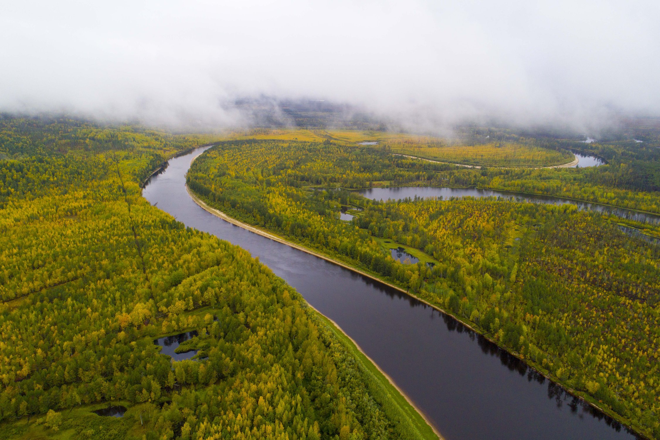 Крупнейшей рекой западной сибири является. Река Алазея. Река Тасеева. Таежные просторы Западной Сибири. Река Лена.