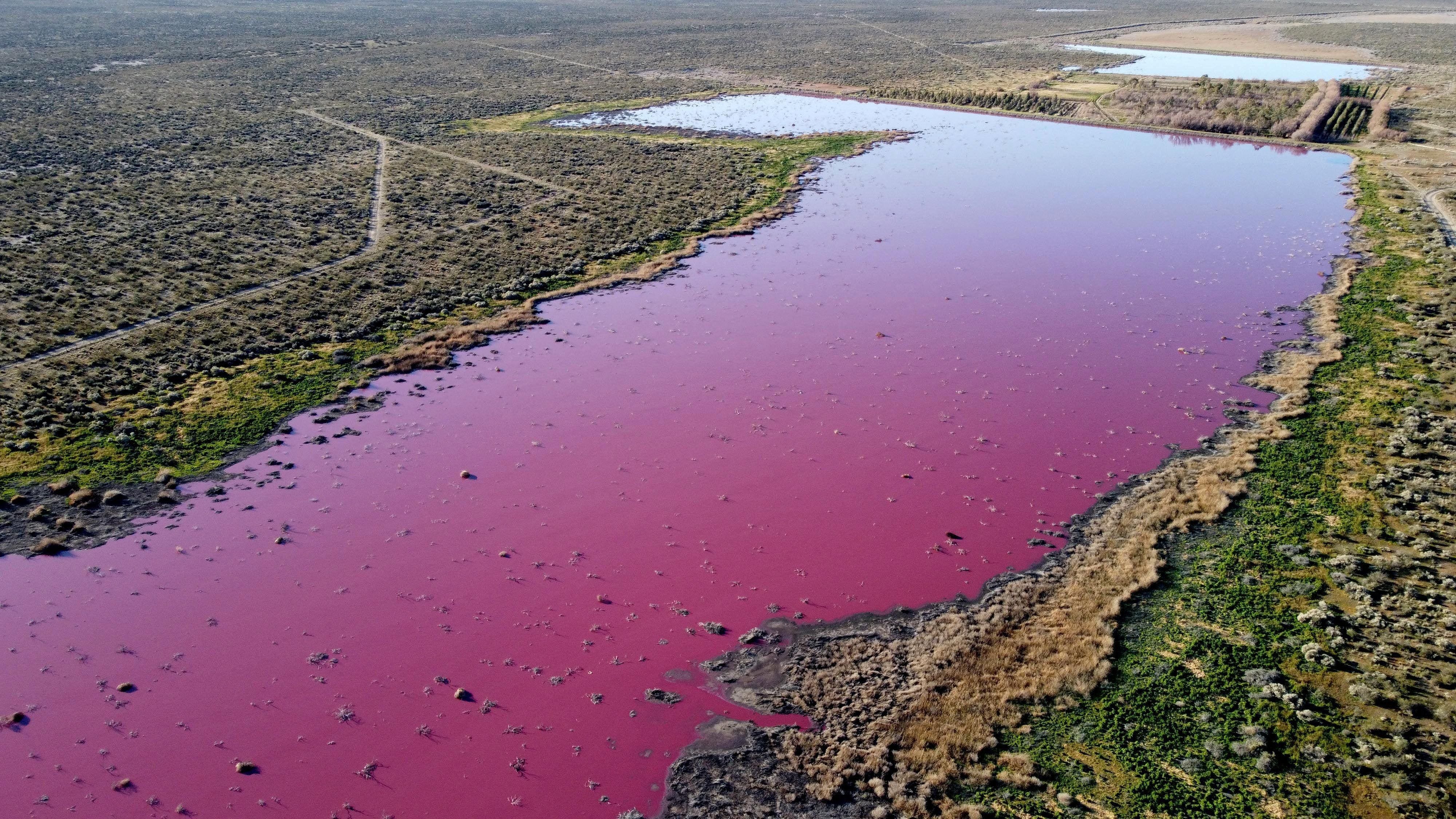 Водоем который окрашивается в нежно розовый цвет. Матанса-Риачуэло, Аргентина. Река Риачуэло Аргентина. Река Чубут Аргентина. Загрязнение воды.
