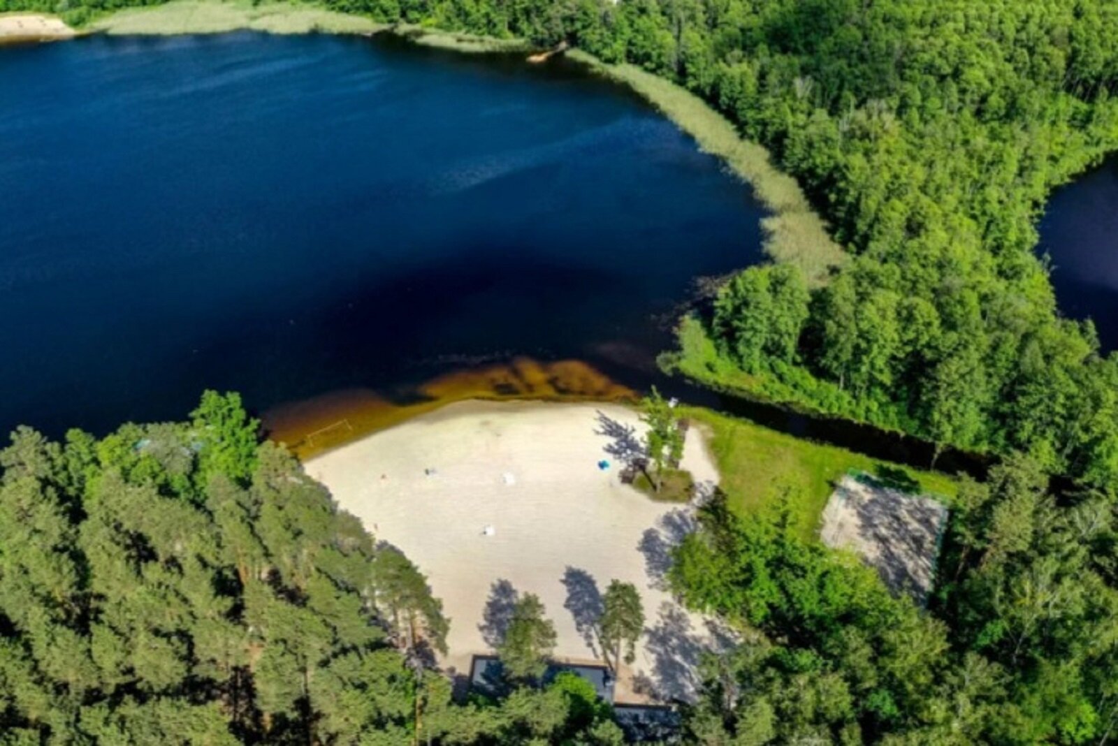 Белое озеро Беларусь Лунинец