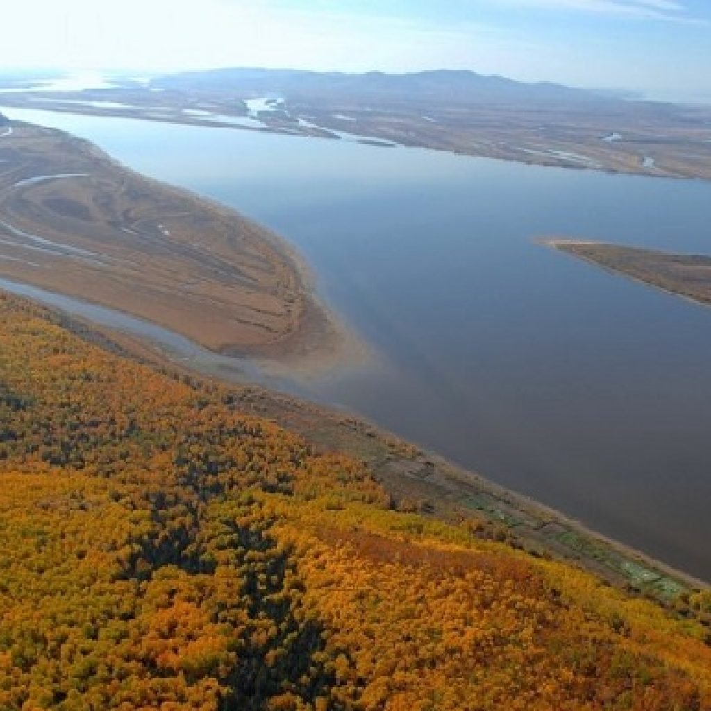 Хабаровск река. Река Амур. Река Амур Хабаровск Хабаровский край. Дальний Восток Амур. Река Уссури Хабаровск Хабаровский край.