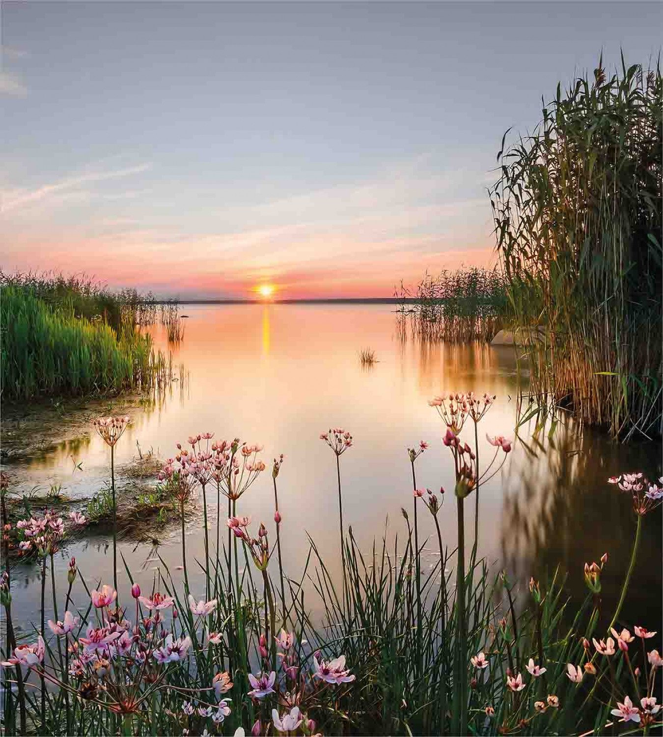 Красивые пейзажи добрым утром картинки. Прекраснова Летнева вечера. Доброго летнего вечера. Весенний рассвет. Летнее утро на озере.