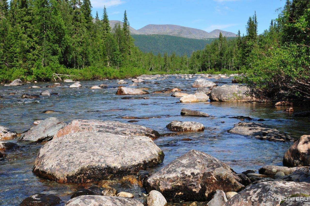 Самый большой по площади заповедник урала