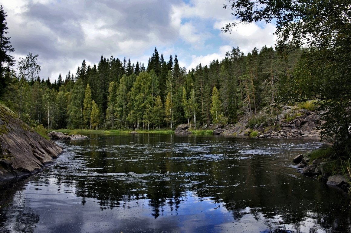 Лесная карелия. Карелия Таежные реки. Река Кумса Карелия. Таежный лес Карелии. Девственные леса Карелии.