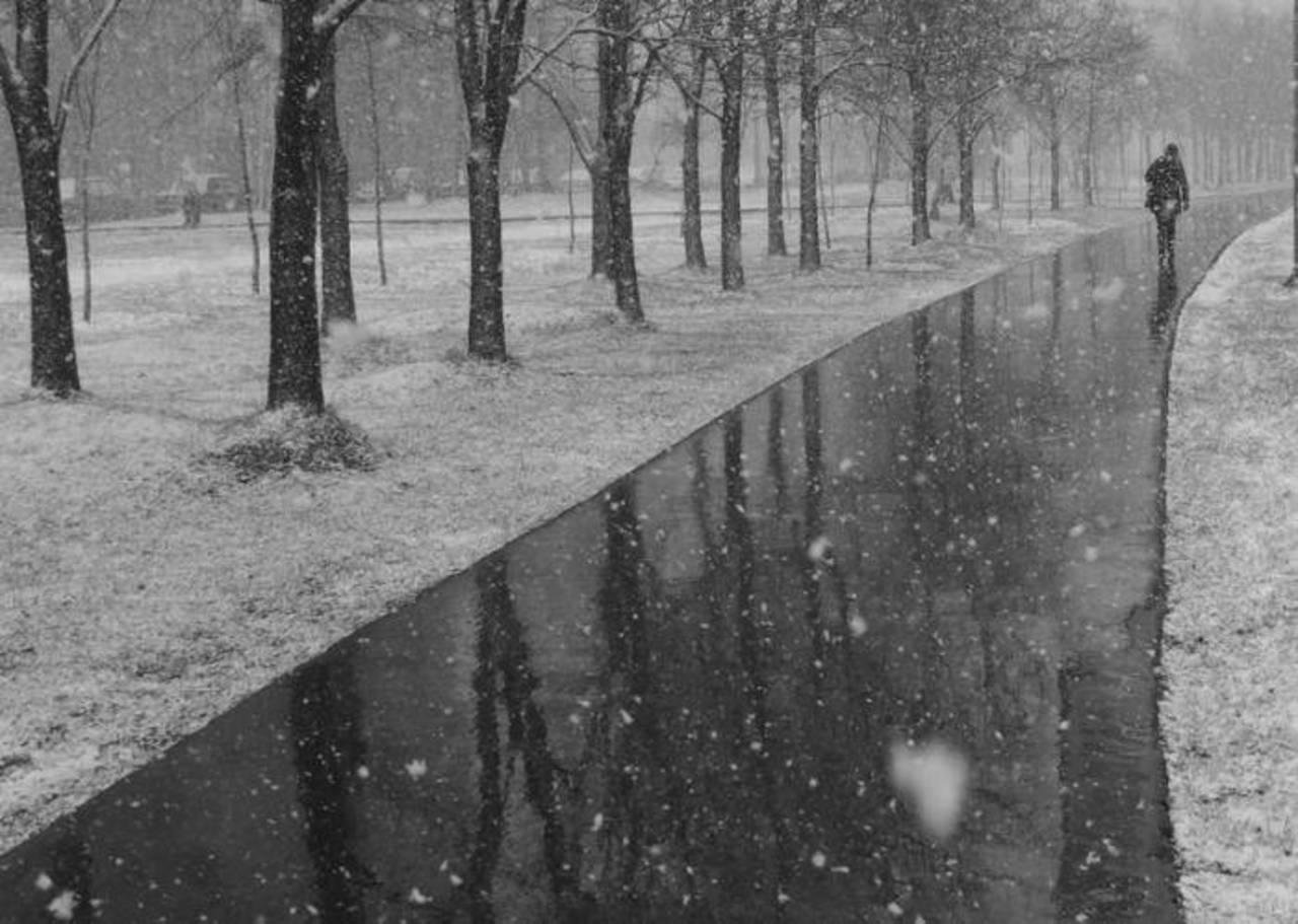дождь со снегом фото красивые