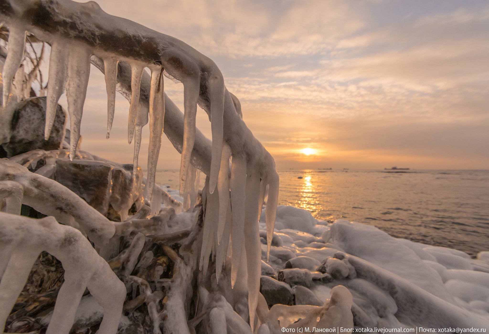 Почему не замерзает баренцево. Владивосток море зимнее японское. Приморский край зима море. Замерзшее море. Зимнее море.