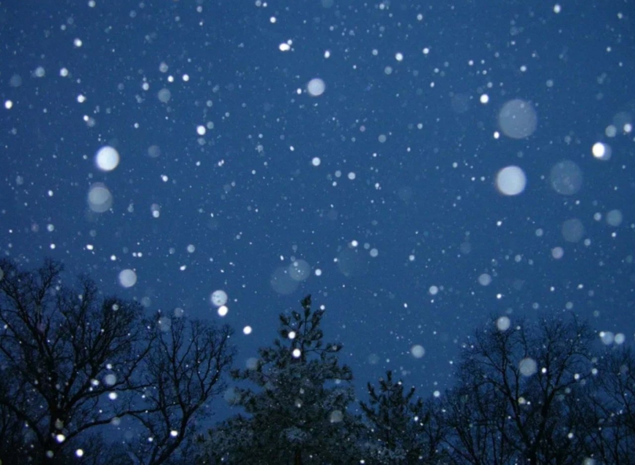 Звезды словно огоньки. Падающий снег. Хлопья снега. Снег идет. Зимнее ночное небо.