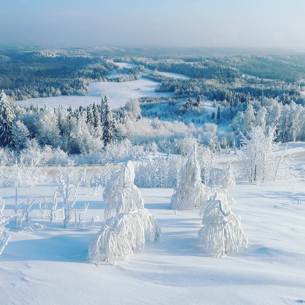 Заснеженные холмы