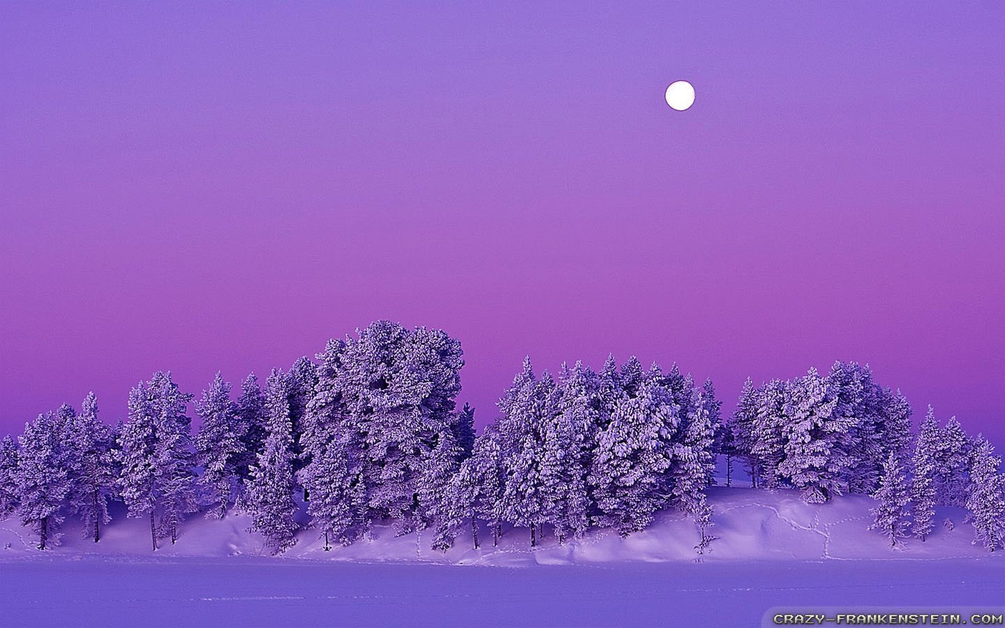 Winter day. Зима. Зимняя ночь. Зима пейзаж. Зимний лес.