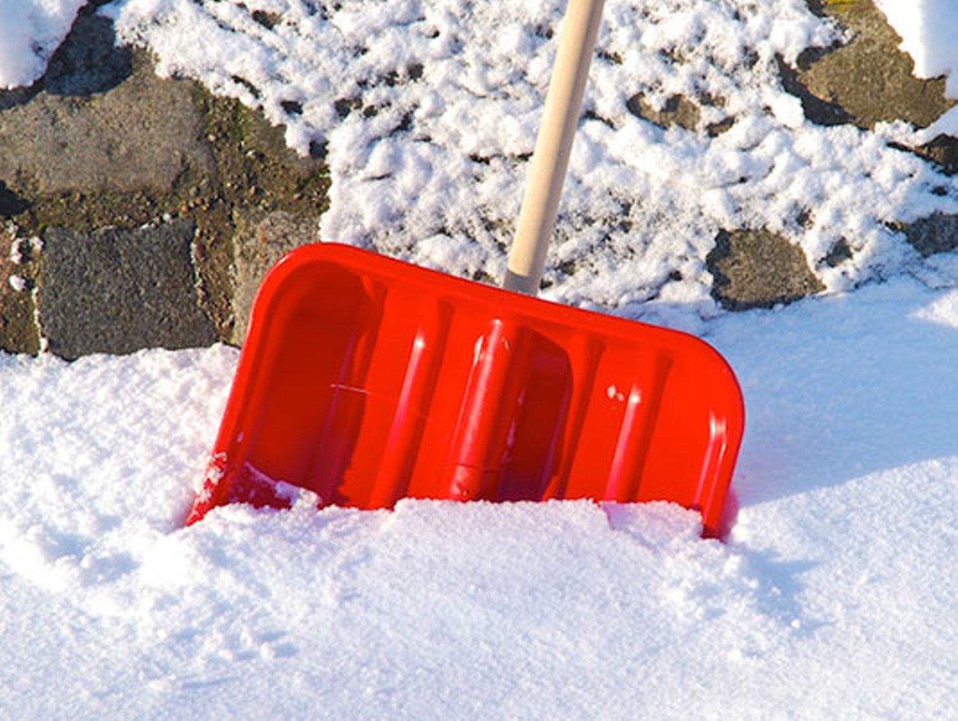 Снеговей. Лопата для снега. Лопата в сугробе. Снеговые лопаты в сугробе. Лопата зимой.