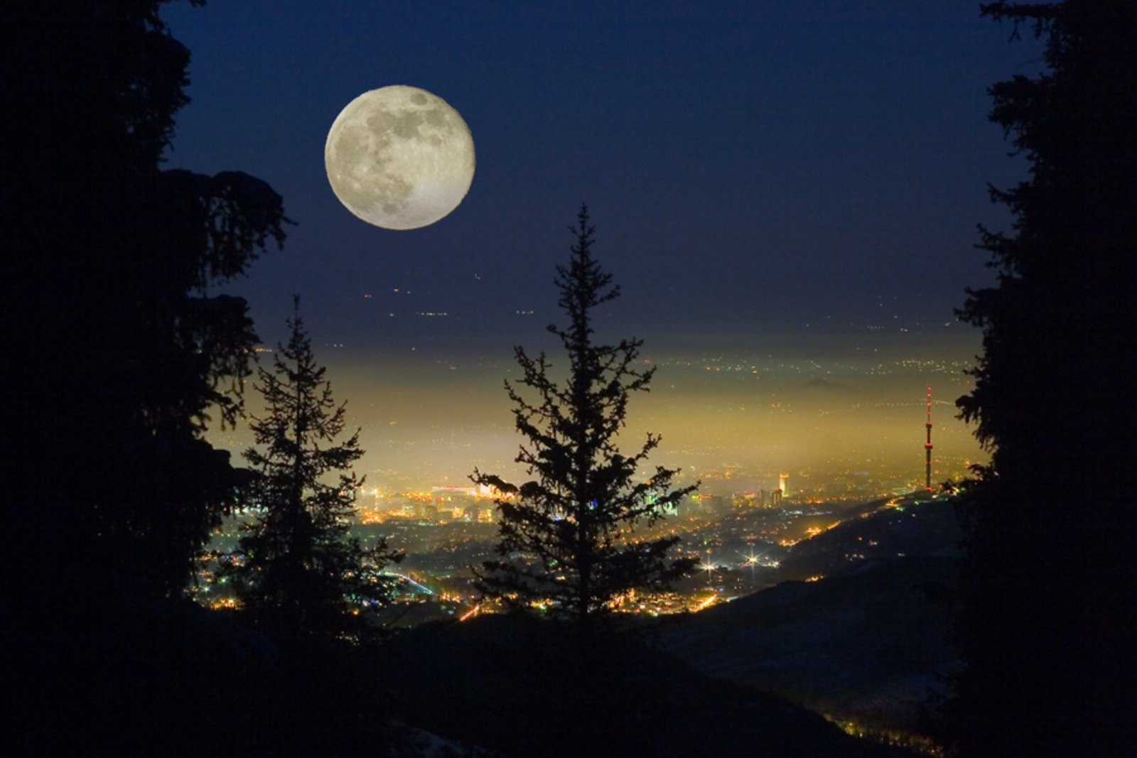Луна зимой ночью. Ночное небо. Пейзаж ночь. Лунная ночь в лесу. Ночь Луна.