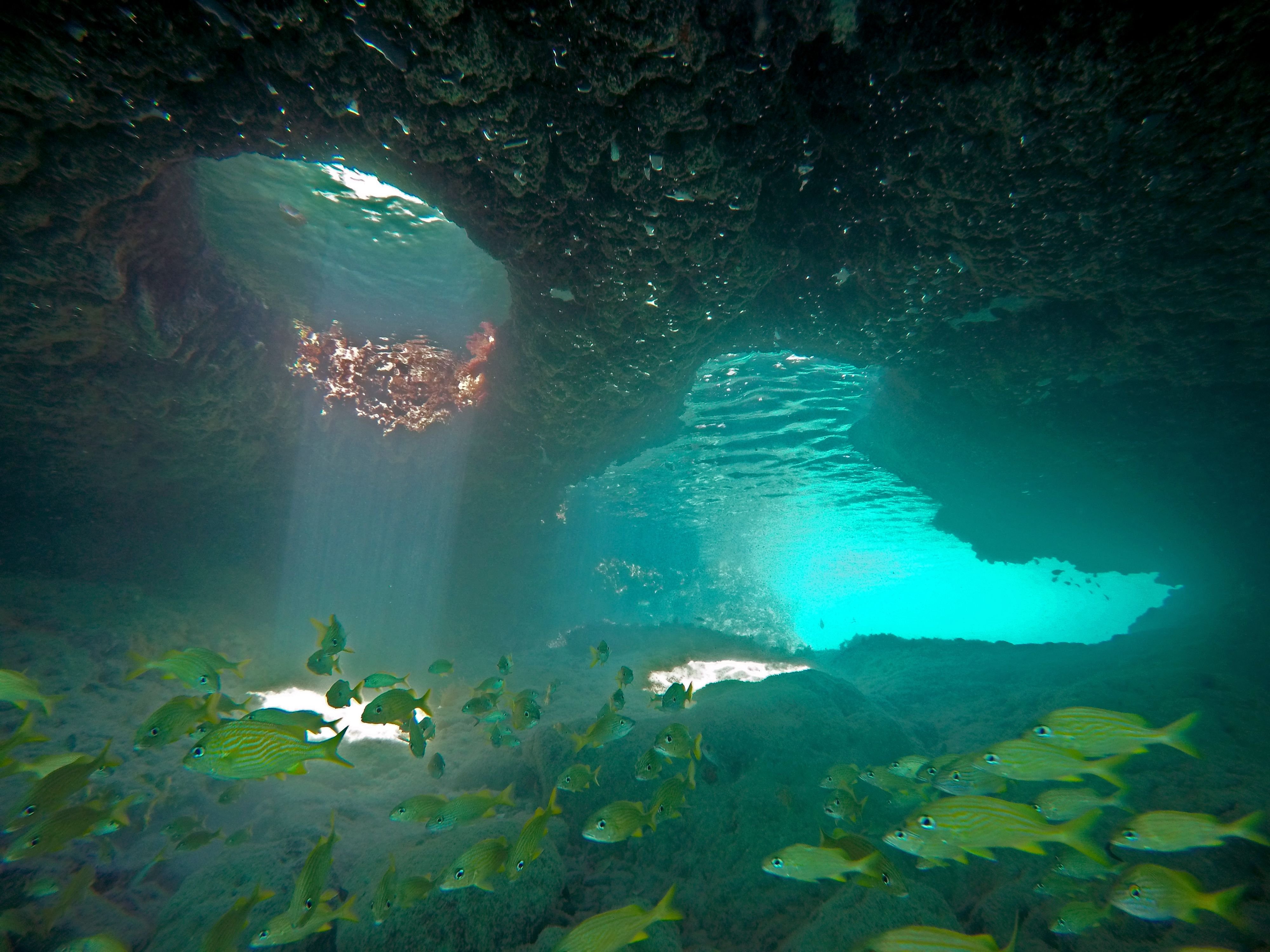 Вода в подземных реках и озерах. Сак-Актун. Рускеала дайвинг. Подземное озеро Рускеала дайвинг. Подводные пещеры на Багамах.