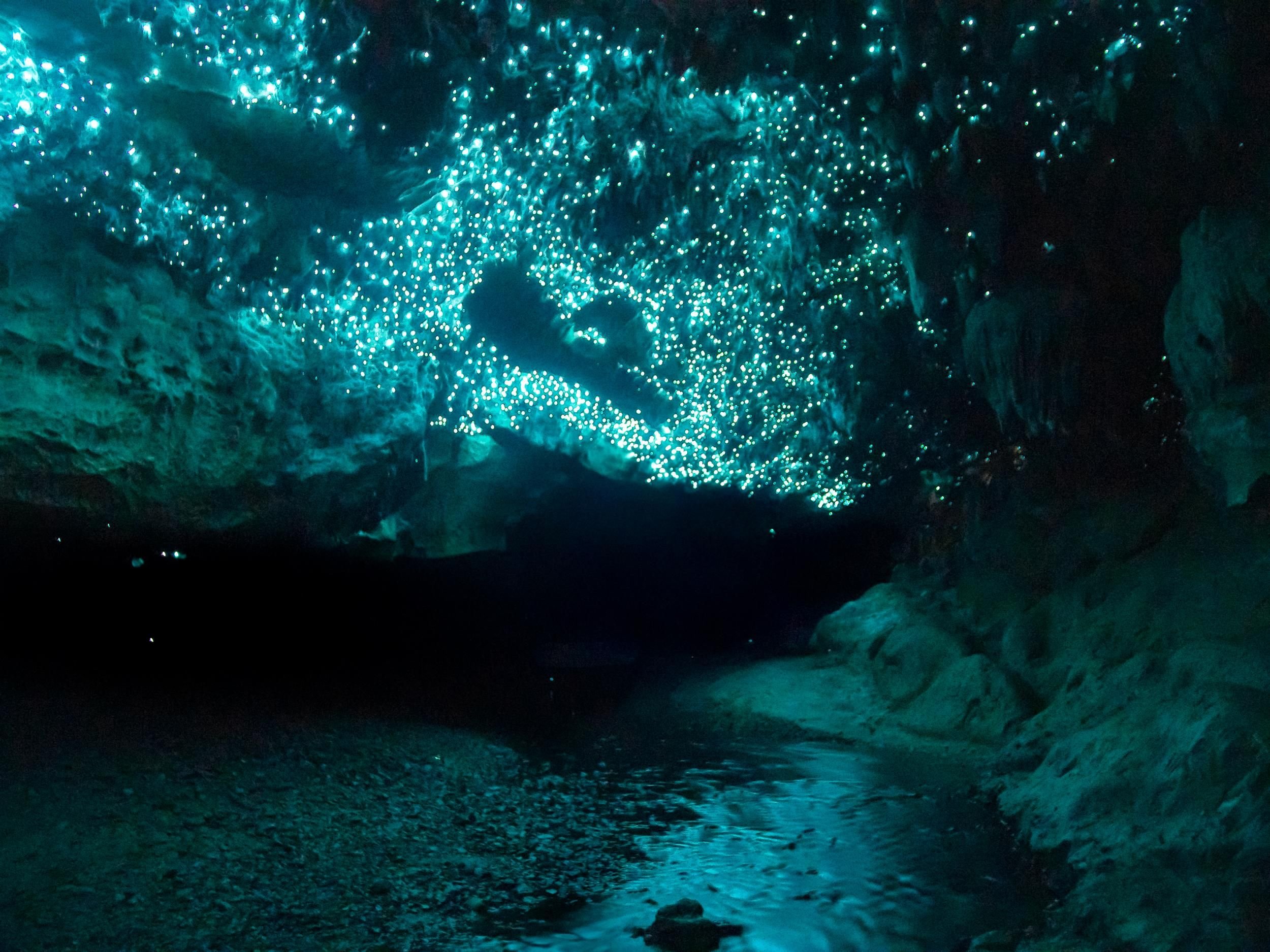 Waitomo caves. Пещеры светлячков Вайтомо. Светящиеся пещеры Вайтомо новая Зеландия. Пещера светлячков новая Зеландия. Пещеры Вайтомо (Waitomo Caves).