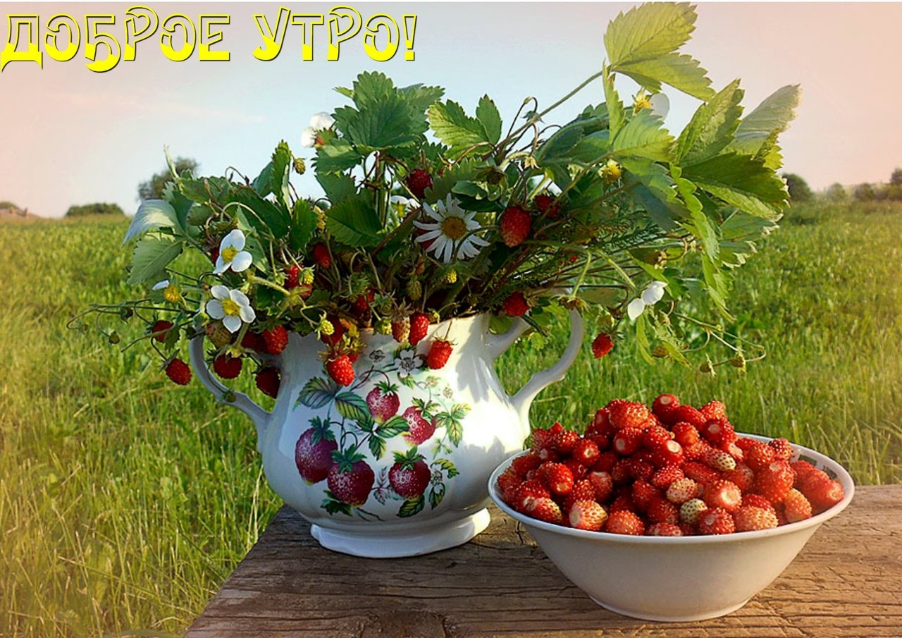 Первое июльское утро