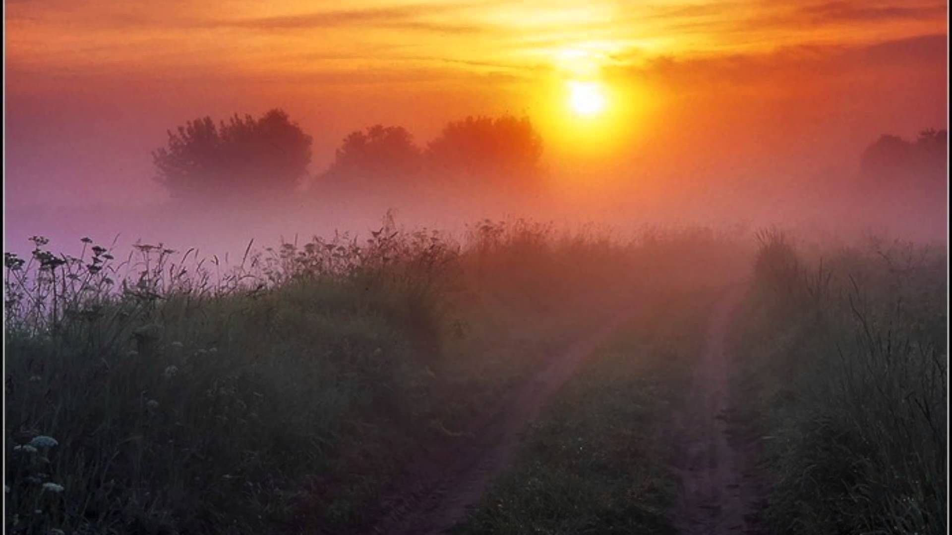 Заря на небе. Заря прощается с землею. Заря прощается с землею Фет. Луг на рассвете. Туман на заре.